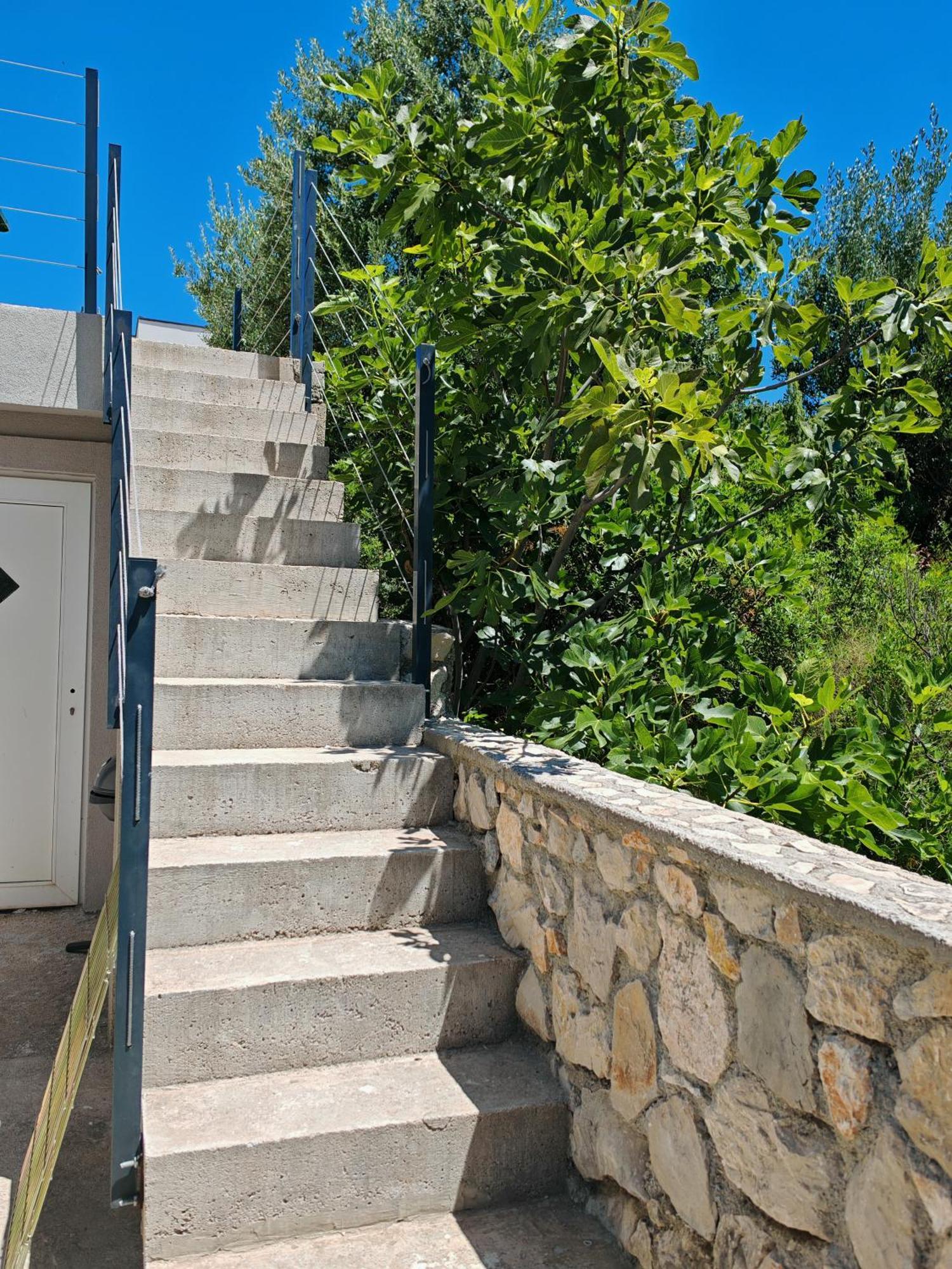 Olive Tree Apartment Zecevo روغوزنيكا المظهر الخارجي الصورة